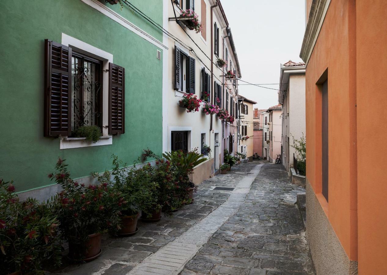Labum Izola